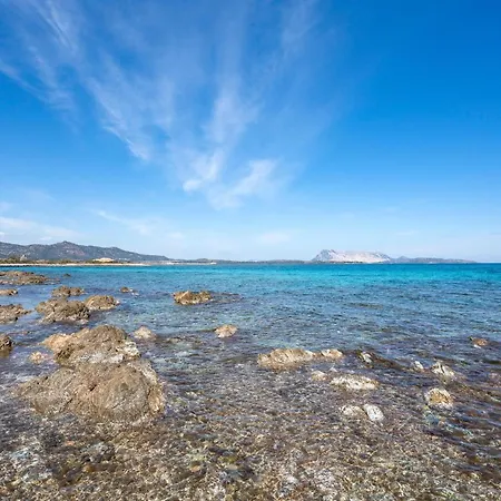 Pet Friendly In * Orosei