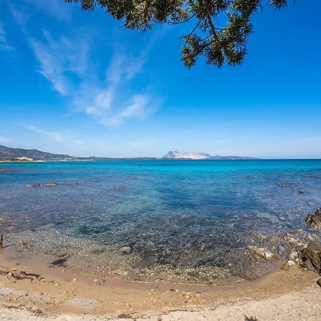 Casa de Férias Pet Friendly In